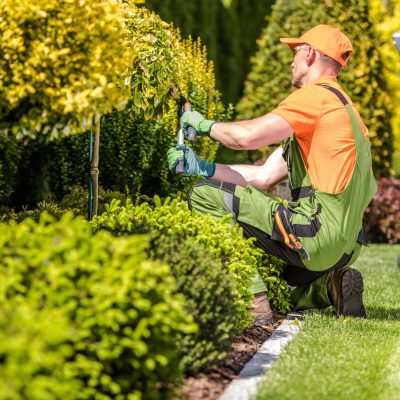 Gardening Maintenance Services North Shore Sydney - Landscaping