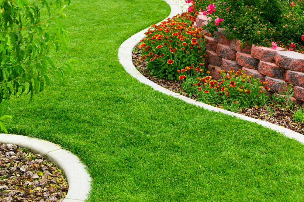 How to Do Lawn Edging the Easy Way - Trees Down Under