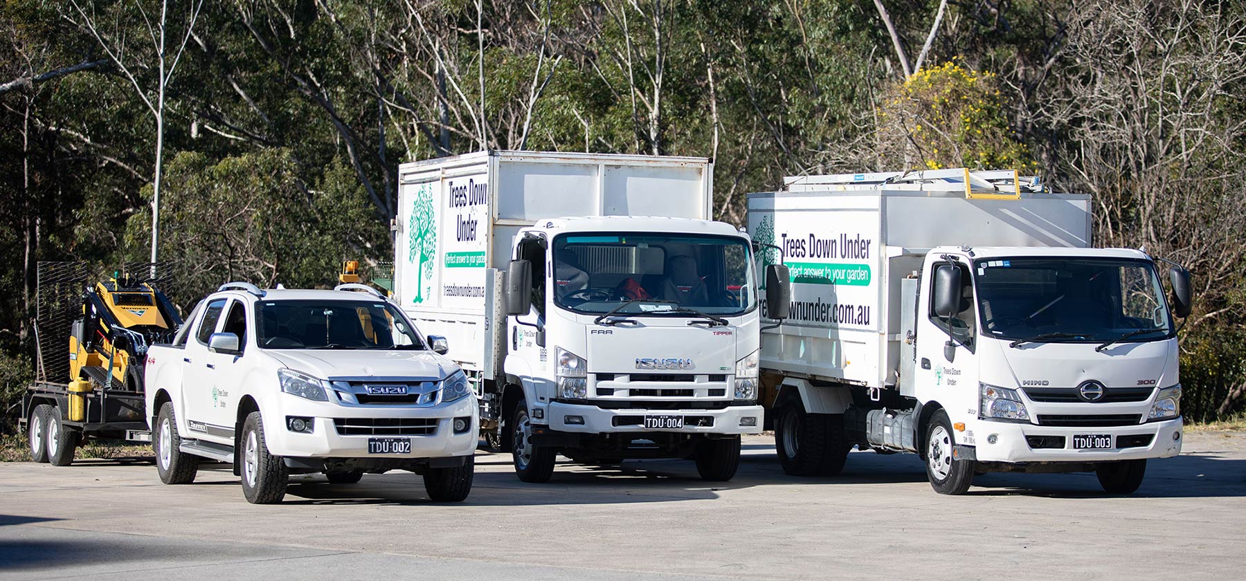 Sydney Tree Removal Experts