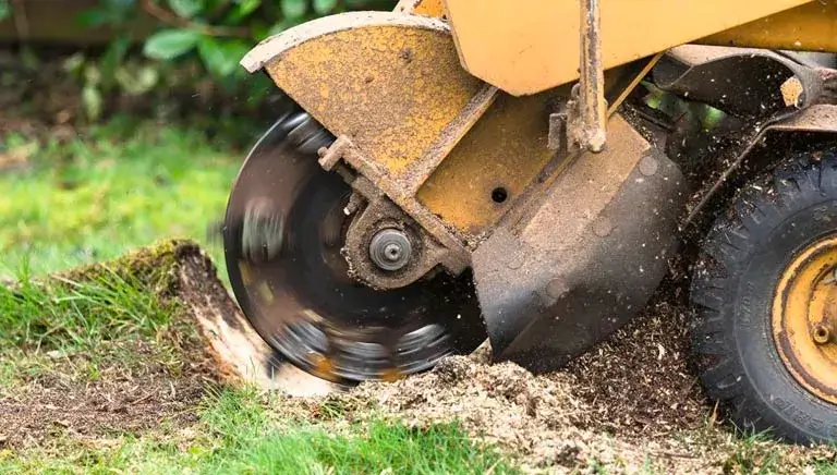 Stump Grinding Sydney