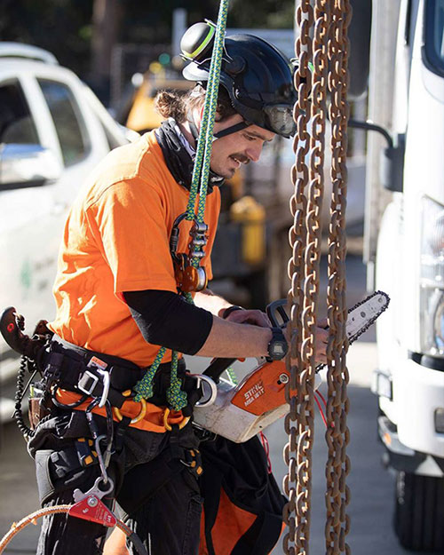 Crane Planning for Tree Removal