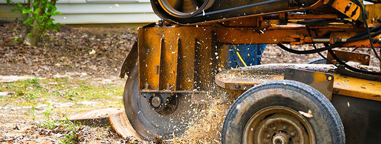 Stump Grinding Sydney