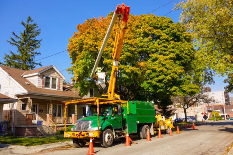 machine being used for tree services