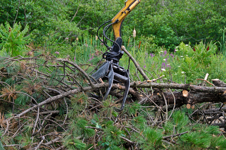 Removal of branches and green waste