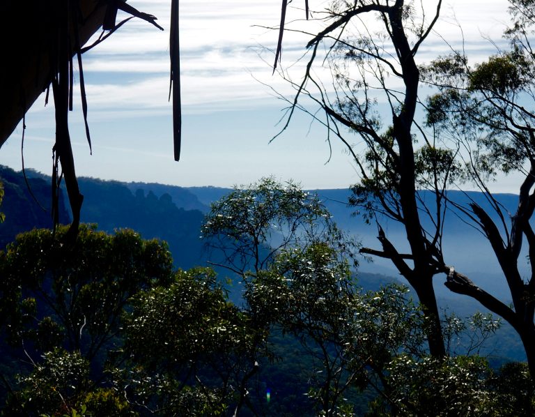 Misty view in the Blue Mountains, New, Australia