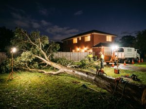 Fallen eucalyptus tree across a backyard lawn at night, with a chainsaw on the trunk, arborist truck, chipper and cones under work lights.
