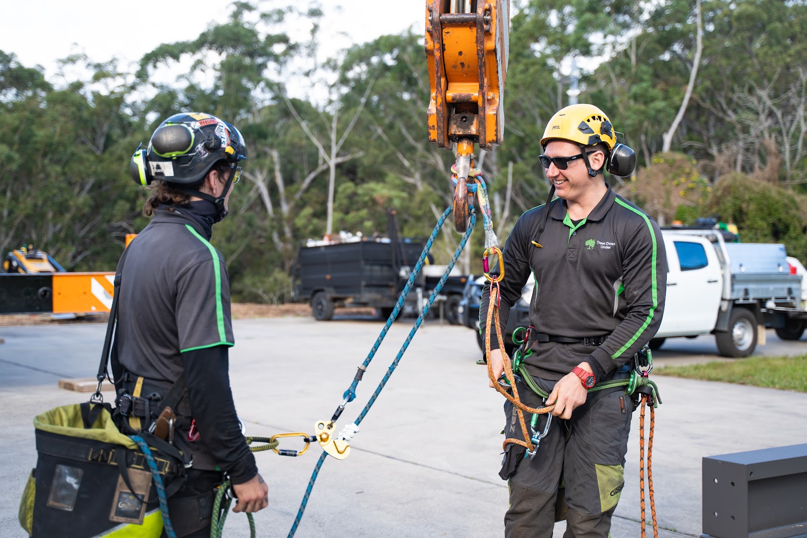 Trees Down Under arborist climbing gear and team for eco friendly tree disposal
