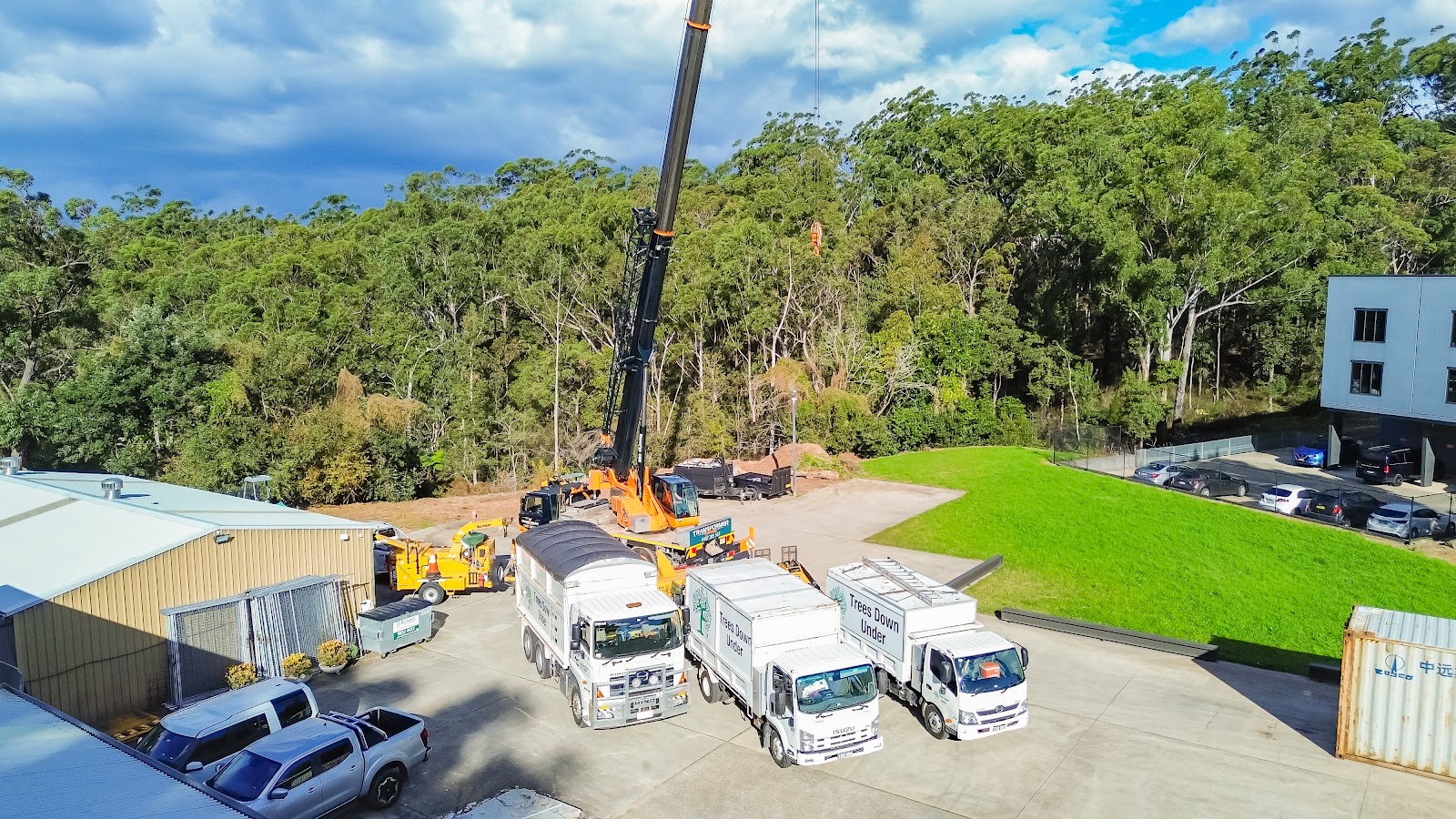 Trees Down Under crane assisted tree work for large tree dismantling