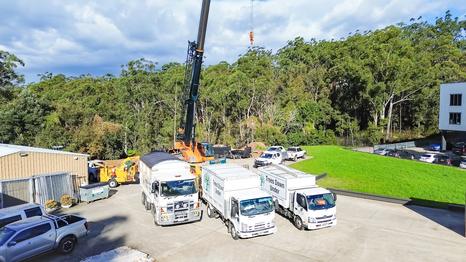 Trees Down Under crane assisted tree work for tree cutting and removal blaxland